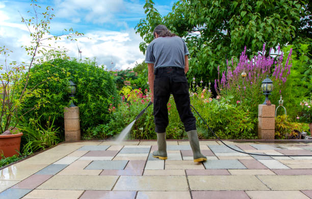 Professional Pressure Washing in Jasmine Estates, FL